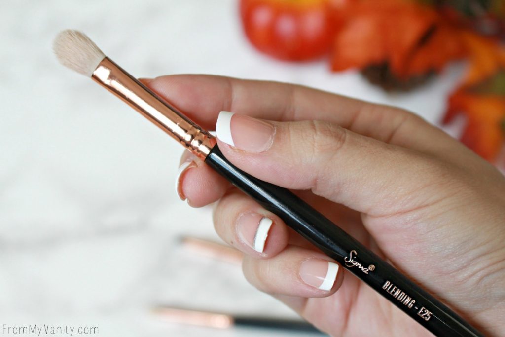 Sigma Beauty Ultimate Copper Eye Brush Set | Review | E25 Blending Brush